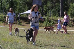 IMG_3126