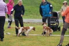 IMG_20230702_125207