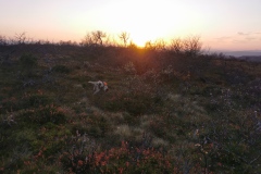 IMG_20201003_180754