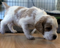 IMG_5172