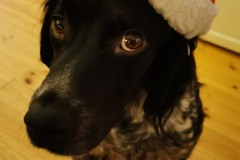 IMG_20231223_210259