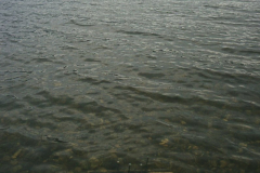 AA015