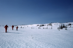 AE029