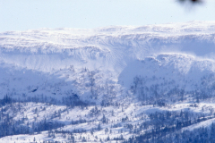 P019