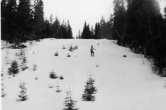 Tomtvatnet_031