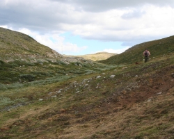 Trening på Dovre 2008