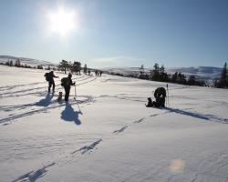 Treningssamling Lifjell 2012