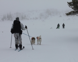 Treningssamling Lifjell 2014