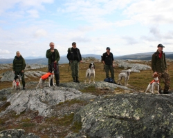 Verdalsprøven 2008