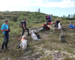 Verdalsprøven 2012