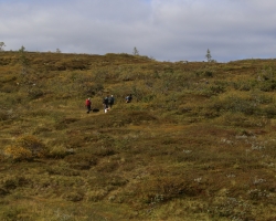 Verdalsprøven 2018