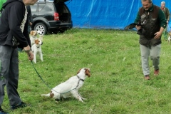 IMG_20200725_152219