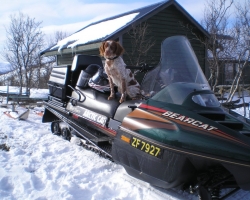 OLYMPUS DIGITAL CAMERA