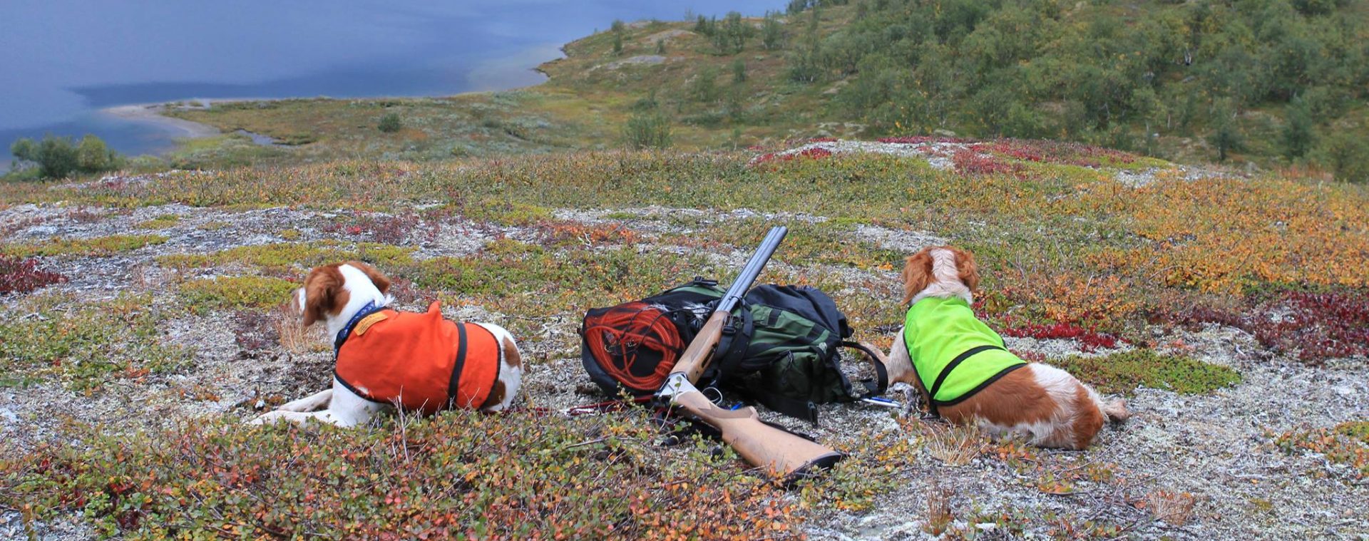 Jaktprøve i Ålen 19. og 20. august