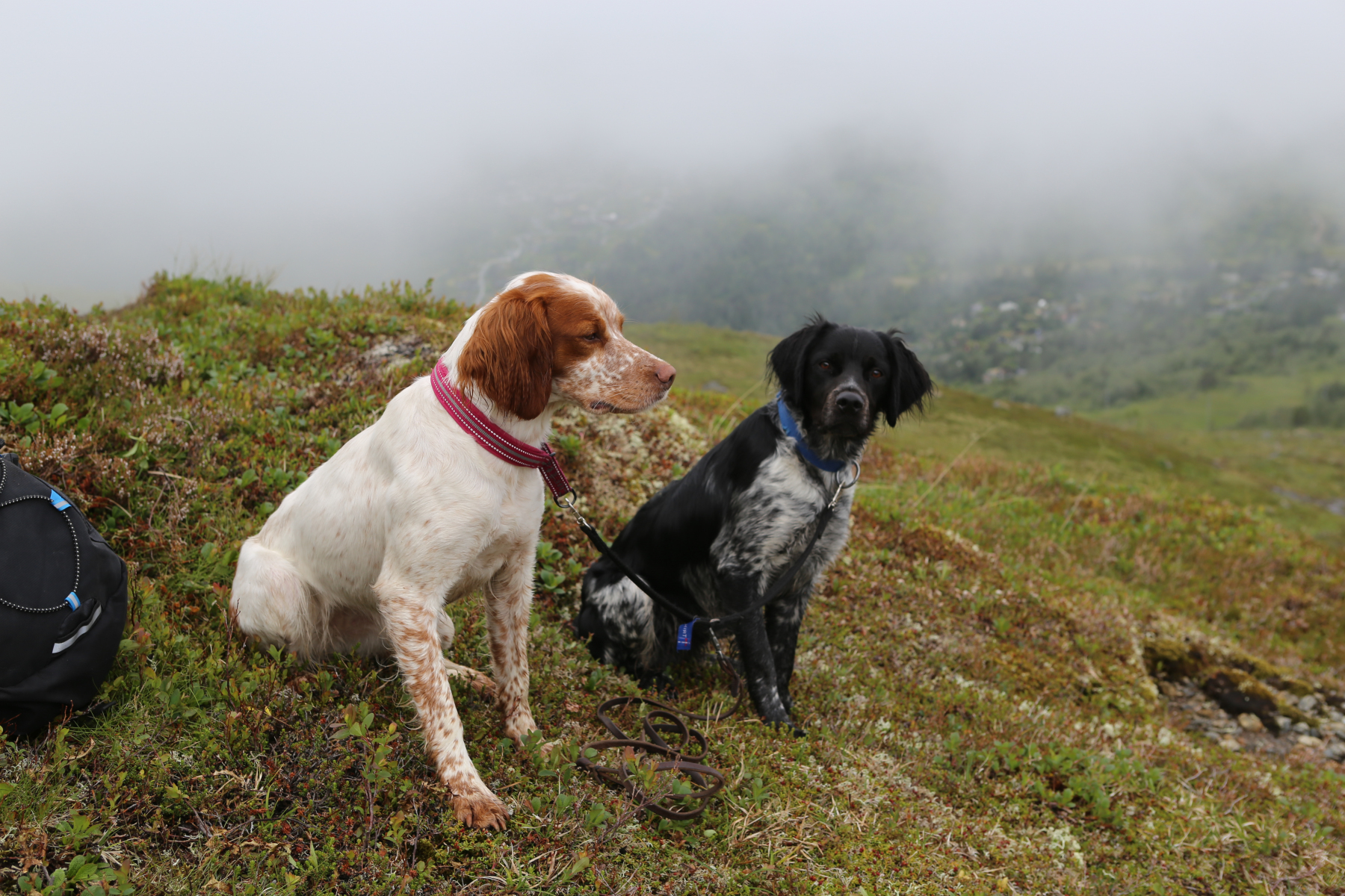 Landstreffet 2019 i Stryn