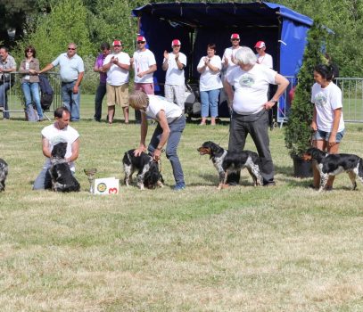 Nationale D’Elevage  Aurillac 2014