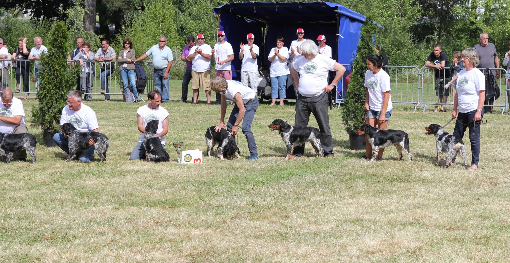 Nationale D’Elevage  Aurillac 2014