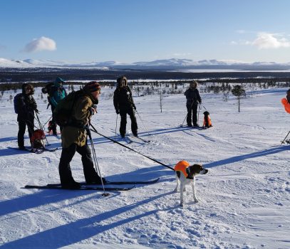 Treningssamling Engerdal februar 2020