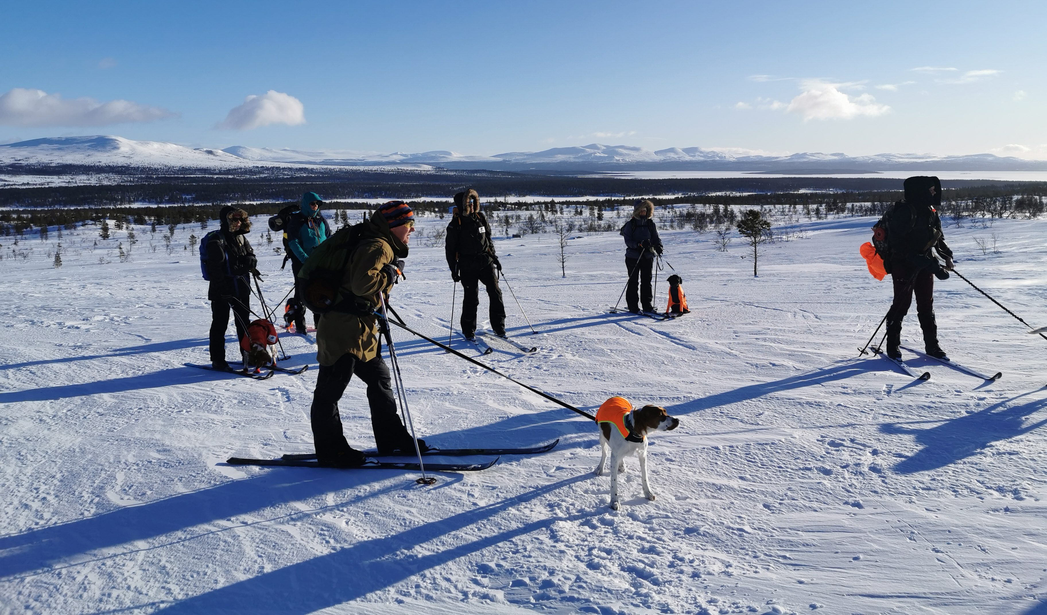 Treningssamling Engerdal februar 2020