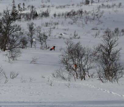 Treningssamling Lifjell 2023