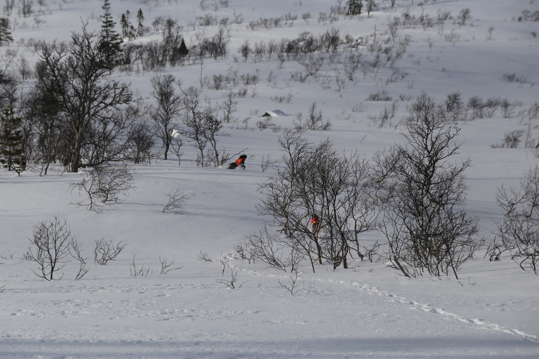 Treningssamling Lifjell 2023