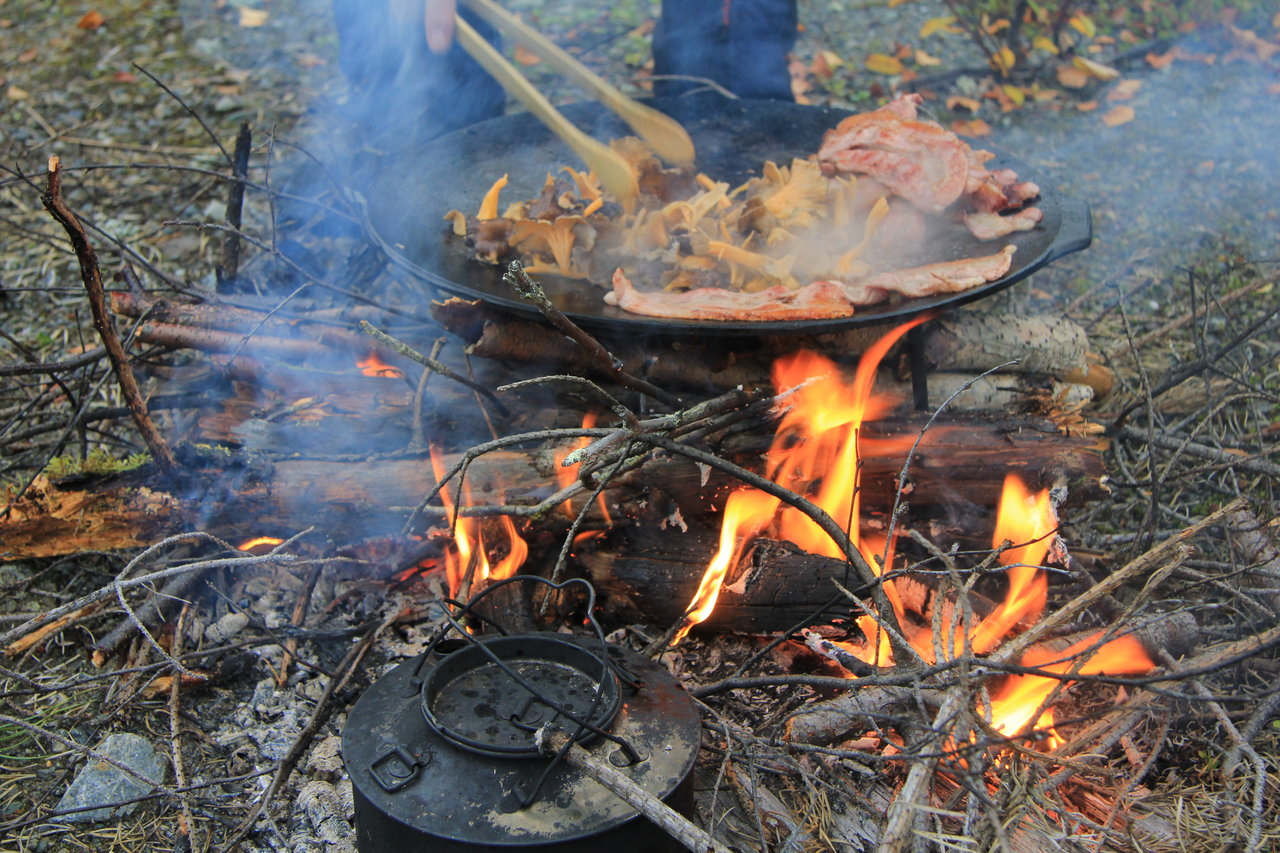 Skogsfugljakta 2011