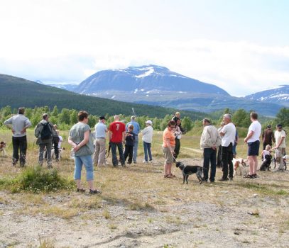 Landstreffet 2009 i Målselv